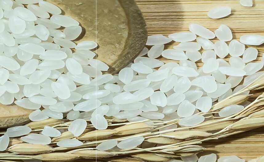 据说在黑龙江，本地人除了吃五常大米外，对这几种大米也爱不释手