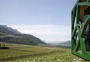 特伦蒂诺-上阿迪杰葡萄酒产区- Alto Adige-Südtirol