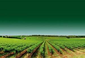 西班牙最著名的葡萄酒产区“里奥哈Rioja”
