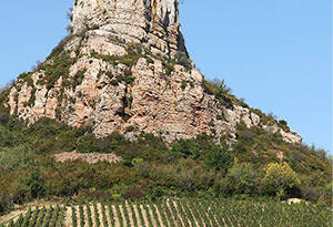 世界上最适合种植酿酒葡萄的4个地区