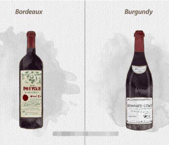 法国勃艮第和波尔多区别，两大经典产区红酒个性鲜明一喝就知道