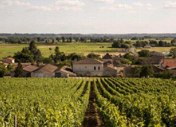 十大著名法国葡萄酒产区，每个产区的代表红酒一定要品尝