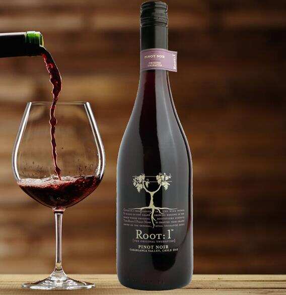 最常见的红葡萄酒九大品种，红酒入门最需知道的口感风味