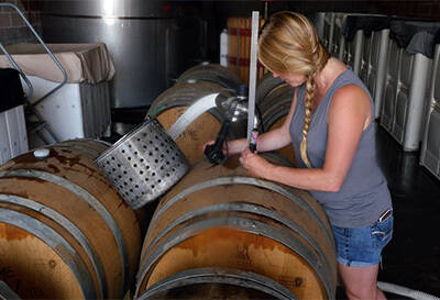 葡萄酒的酿造流程