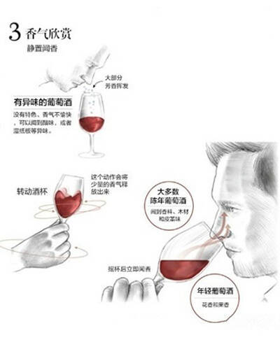 红酒怎么喝是正确的？正确喝红酒的五个步骤