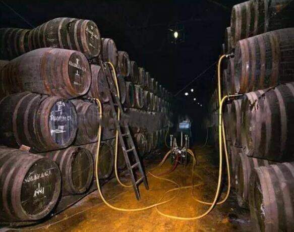 生产雪莉酒的主要原料，仅有葡萄加强用的也是葡萄蒸馏酒