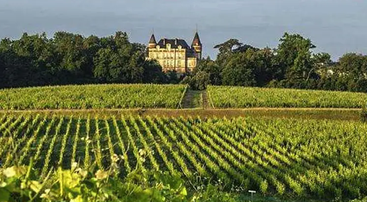 法国波尔多葡萄酒闻名遐迩，混合酿造取长补短以求完美风味
