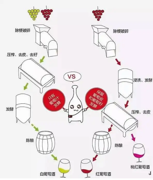 白葡萄酒与红葡萄酒的区别，从用料到口感不尽相同