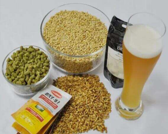 啤酒花怎么做啤酒在啤酒中的作用，参与发酵提高保质期增添风味
