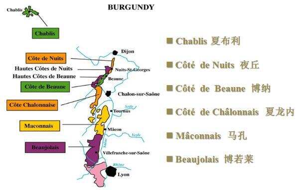 法国三大葡萄酒产区，波尔多/勃艮第/罗纳河谷是最重要的红酒产区