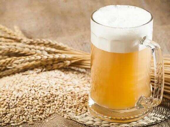 大麦啤酒与小麦啤酒的区别，大麦啤酒清澈单薄/小麦啤酒偏香醇