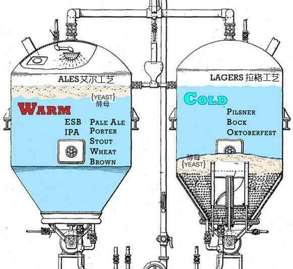 什么叫拉格啤酒，Lager是桶底酵母低温发酵的淡味啤酒