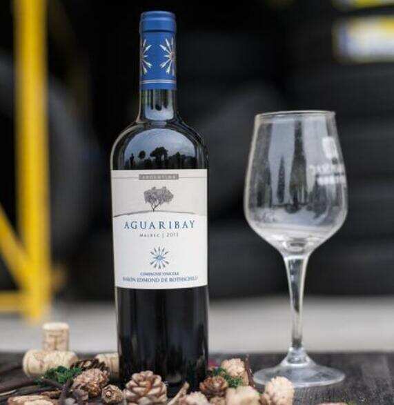 充满惊喜的阿根廷红酒，酿造出法国都束手无策的马尔贝克葡萄酒