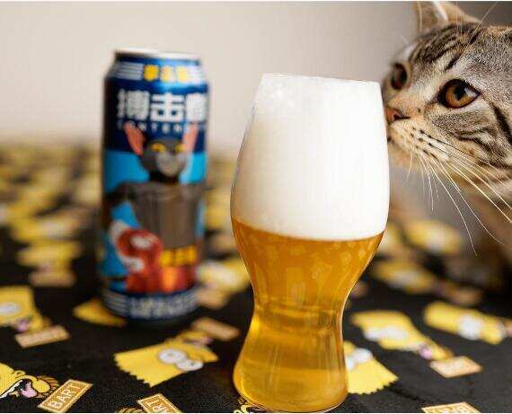 拳击猫精酿啤酒怎么样好喝吗多少钱一瓶，适合当口粮的入门款