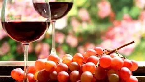 最好酿酒葡萄品种，赤霞珠全种植面积高达290091公顷占6.3%