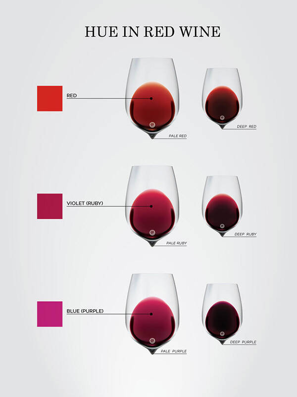 葡萄酒为什么是红色的？