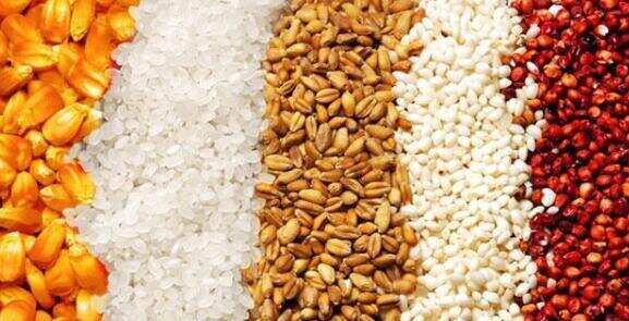 五粮指的是哪五粮，高粱/大米/糯米/小麦/玉米作用各不相同