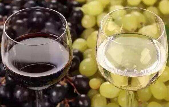 红葡萄酒和白葡萄酒的区别，不仅是颜色其口感风味和配餐都不同