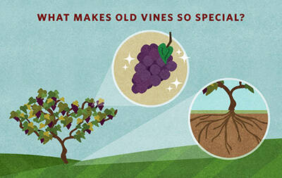 老葡萄酒究竟是什么？
