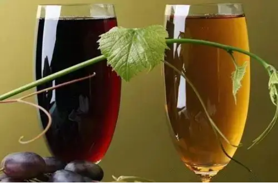 最简单的葡萄酒分类，按照不同特性划分葡萄酒一看就会