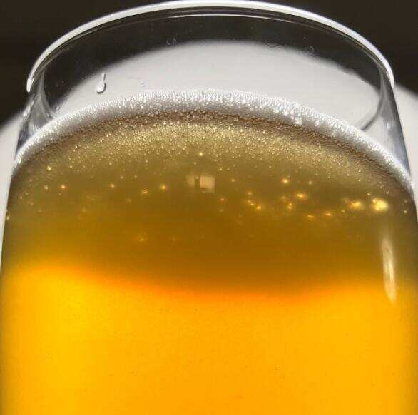 圣佛洋金啤酒好喝吗多少钱，整体风味简单轻盈比智美金帽更出色