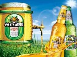 燕京啤酒的市场分析