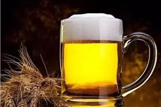 啤酒麦芽是啤酒最重要原料，啤酒酒精的根本来源