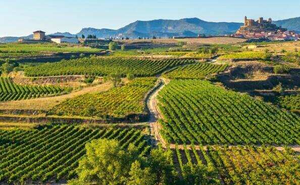 西班牙里奥哈产区葡萄酒特点，独特的环境令酿出的红酒柔中带刚