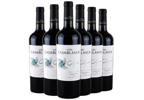 智利星得斯海拔H600葡萄酒干红葡萄酒750ml6瓶整箱价格多少钱？