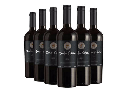 澳大利亚醉鹅娘智利鸟酒系列梅洛黑皮诺干红葡萄酒价格多少钱？
