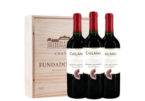 智利干露集团梦坡酒庄MAIPO梦坡梦想美乐干红葡萄酒750ml一瓶价格多少钱？