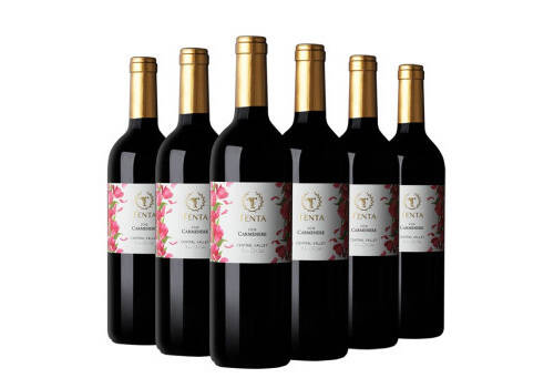 智利中央山谷CHEERS齐饮长相思干白葡萄酒750ml6瓶整箱价格多少钱？