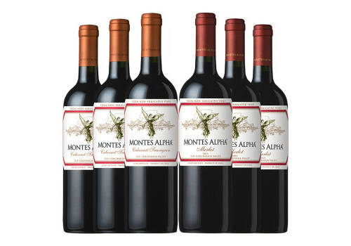 智利VSPT海洋美乐干红葡萄酒750ml一瓶价格多少钱？