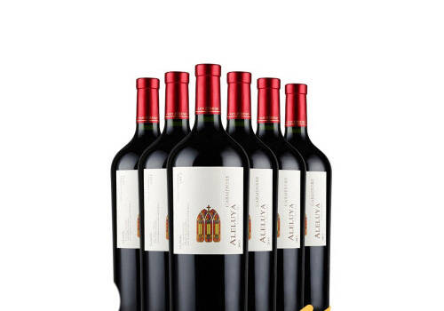 智利安第斯火烈鸟经典赤霞珠干红葡萄酒750ml一瓶价格多少钱？