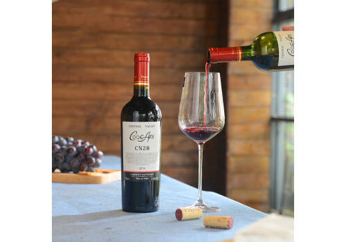 智利中央山谷醉企鹅圣派德罗酒庄VinaSanPedro1865赤霞珠干红葡萄酒750ml一瓶价格多少钱？