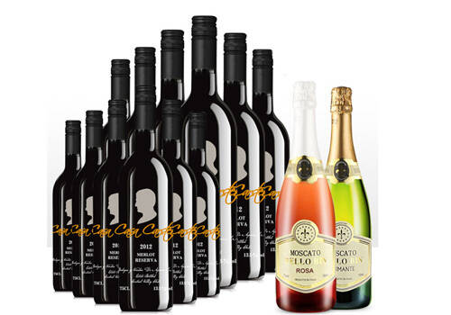 智利火地岛经典赤霞珠干红葡萄酒750mlx2瓶礼盒装价格多少钱？