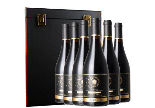 智利阿波罗莫来山谷佳美娜干红葡萄酒750ml6瓶整箱价格多少钱？