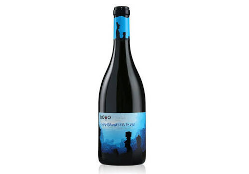 智利航海世纪珍藏西拉干红葡萄酒750ml一瓶价格多少钱？