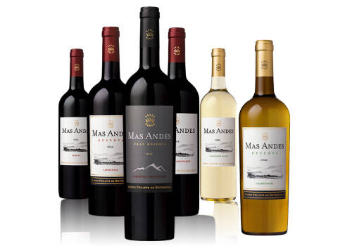 智利中央山谷百年份藤霞多丽莎当妮干白葡萄酒750ml一瓶价格多少钱？