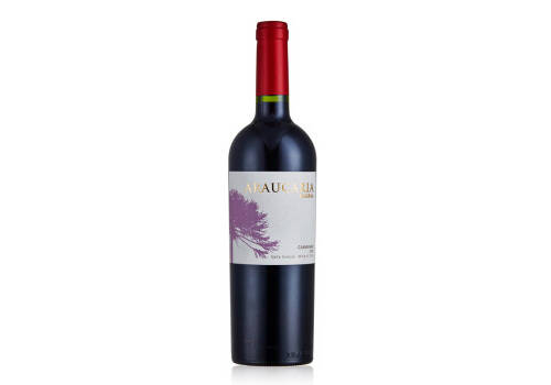 智利砾程美乐/梅洛干红葡萄酒750ml6瓶整箱价格多少钱？