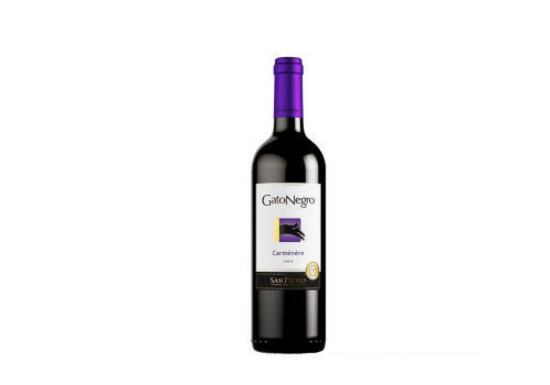 智利智砾杉珍藏赤霞珠干红葡萄酒750ml一瓶价格多少钱？