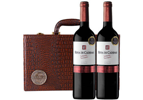 西班牙瓜迪亚纳产区3星白标干红葡萄酒750ml6瓶整箱价格多少钱？
