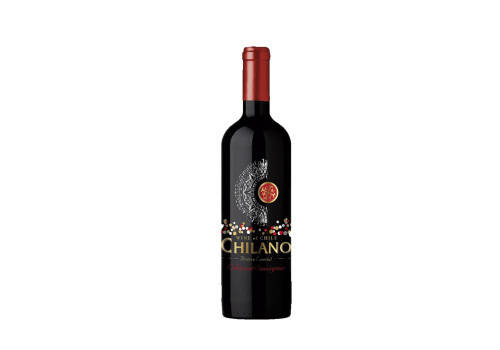 智利干露集团梦坡酒庄梦坡梦想佳美娜干红葡萄酒750ml一瓶价格多少钱？