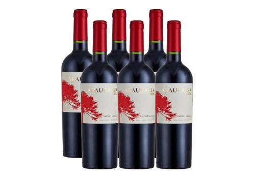 智利星得斯树藤10梅洛干红葡萄酒750ml一瓶价格多少钱？