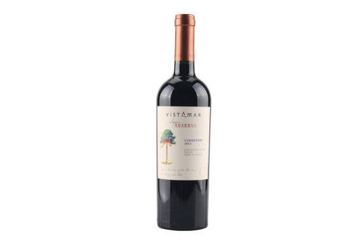 智利星得斯HopeR赤霞珠干红葡萄酒750ml一瓶价格多少钱？