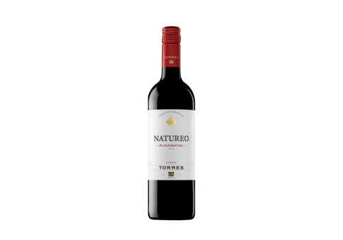 西班牙爱欧公爵世界之眼张裕干红葡萄酒187ml6瓶整箱价格多少钱？