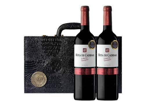 西班牙桃乐丝Torres精选星空红葡萄酒750ml6瓶整箱价格多少钱？
