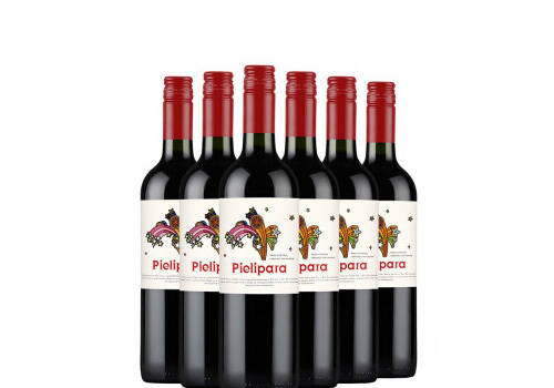 智利中央山谷赛隆赤霞珠干红葡萄酒750ml6瓶整箱价格多少钱？
