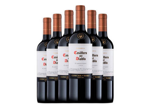 智利艾菲娜干红葡萄酒750ml6瓶整箱价格多少钱？