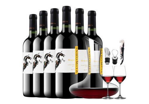 智利张裕先锋格狮马美乐干红葡萄酒750ml一瓶价格多少钱？